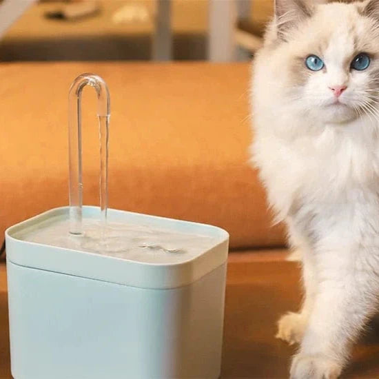 Vannfontene for optimal hydrering av katten din