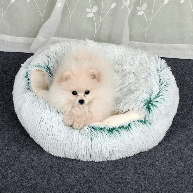 Pet bed: Comfort and Serenity 